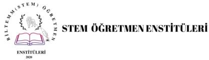 STEM Teacher Institutes